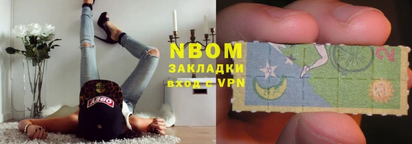 ГАЛЛЮЦИНОГЕННЫЕ ГРИБЫ Бородино