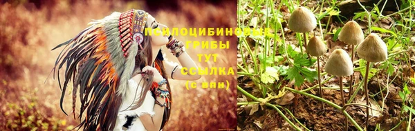 мескалин Верея
