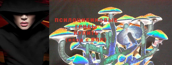 ГАЛЛЮЦИНОГЕННЫЕ ГРИБЫ Бородино