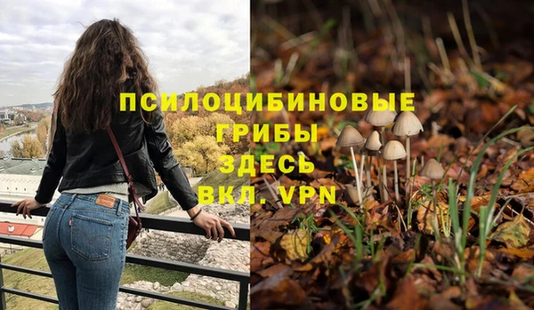 ГАЛЛЮЦИНОГЕННЫЕ ГРИБЫ Бородино