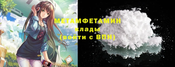ГАЛЛЮЦИНОГЕННЫЕ ГРИБЫ Бородино